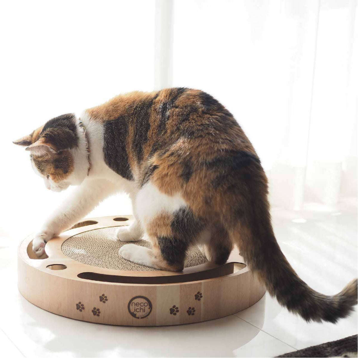 Necoichi - Interactive Track Ball Cat Scratcher