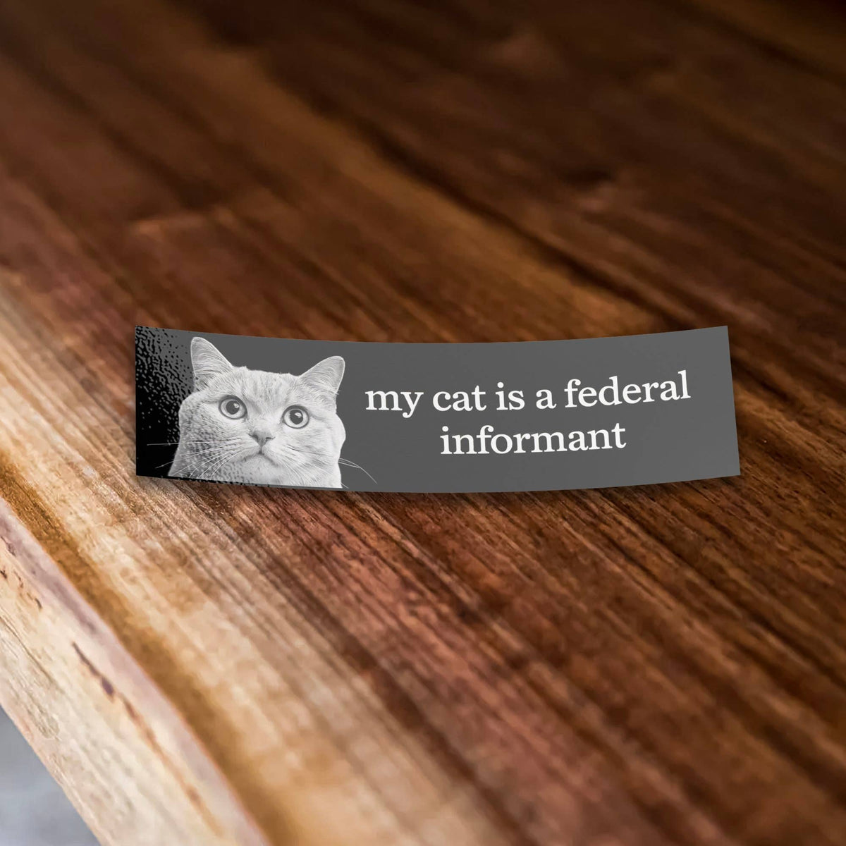 My Cat Is A Federal Informant Funny Vinyl Bumper Sticker