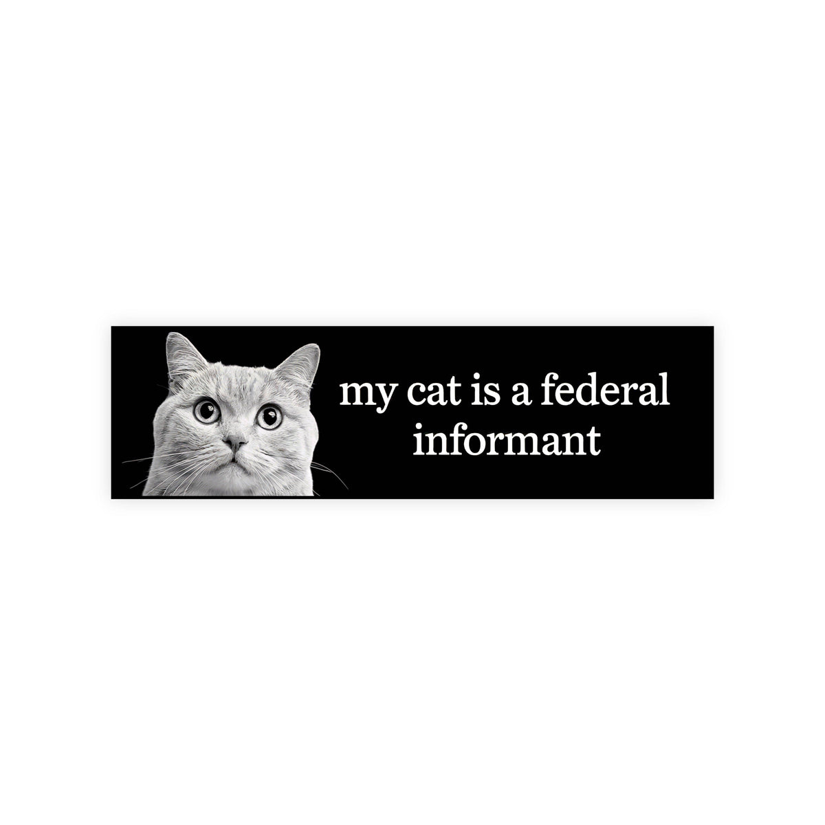 My Cat Is A Federal Informant Funny Vinyl Bumper Sticker