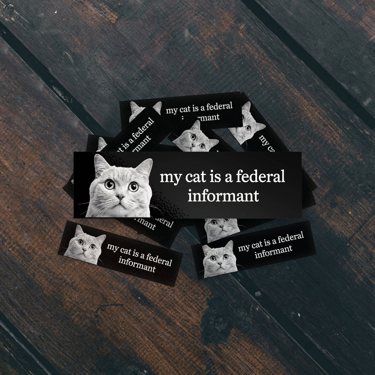 My Cat Is A Federal Informant Funny Vinyl Bumper Sticker