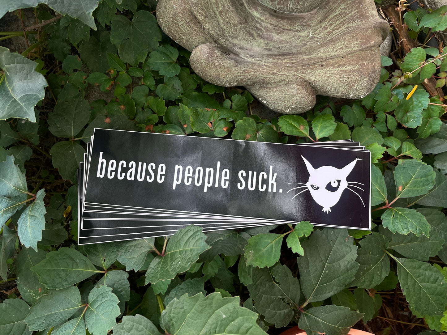 MadCat Because Bumper Sticker