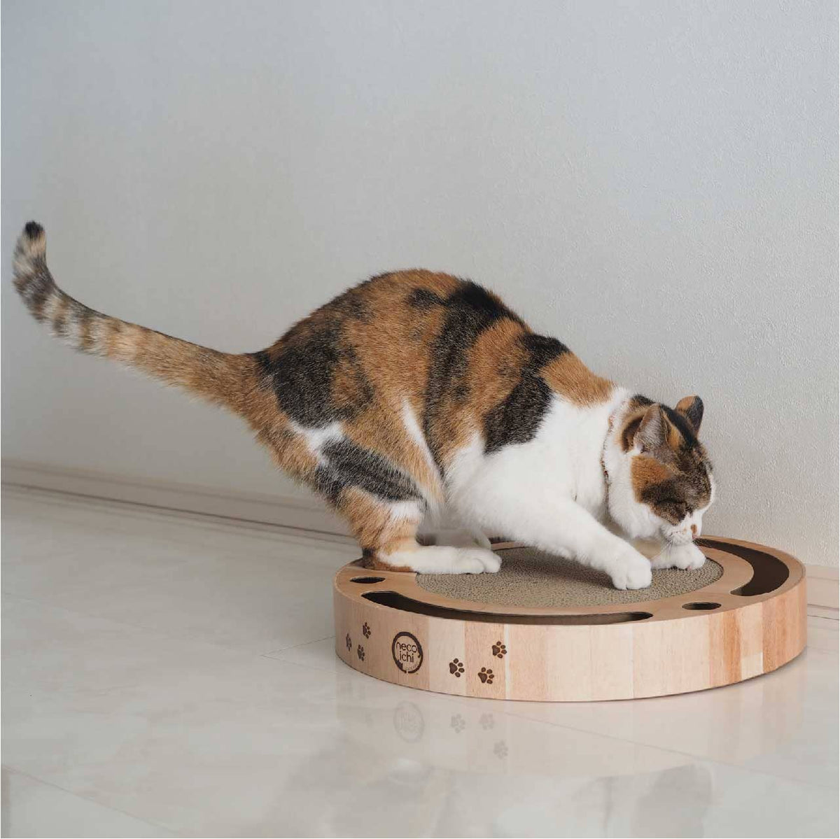 Necoichi - Interactive Track Ball Cat Scratcher