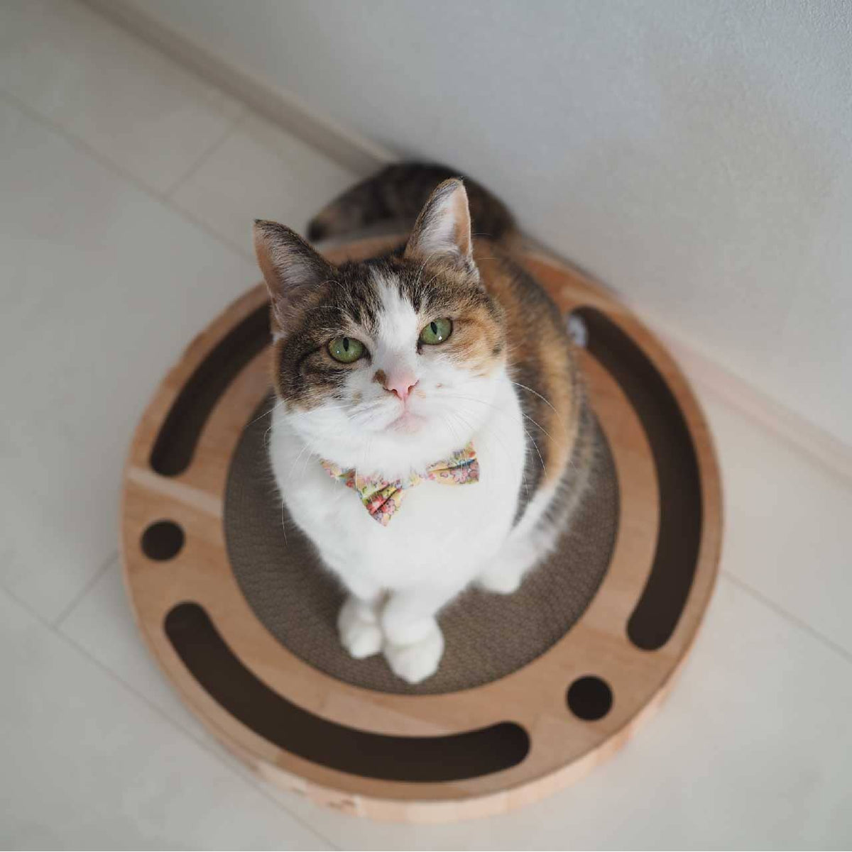Necoichi - Interactive Track Ball Cat Scratcher
